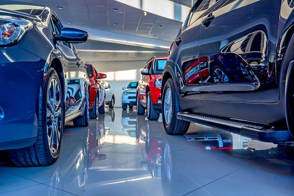 showroom s autami